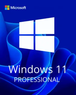 Windows 11 Professional thumbnail 1