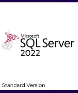 SQL Server 2022 standard License thumbnail 1