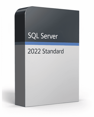 SQL Server 2022 standard License
