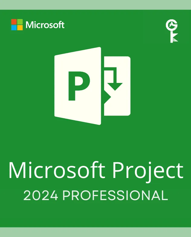 Project Professional 2024 - (PC)