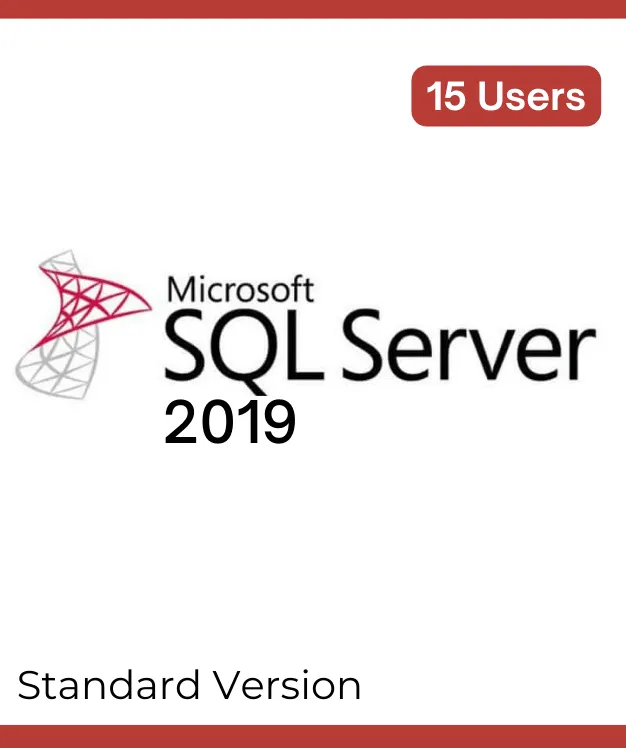 SQL Server 2019 standard License - 1 USER